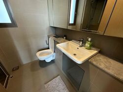 Skyline Residences (D4), Condominium #602967051